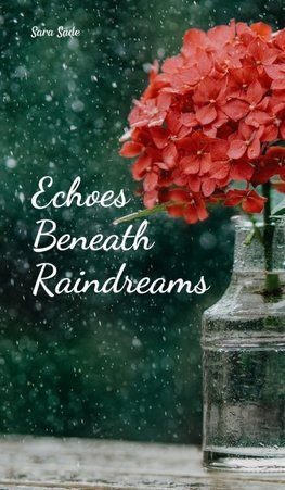 Echoes Beneath Raindreams