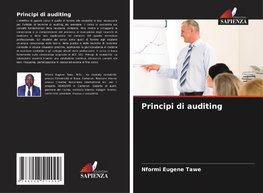 Principi di auditing