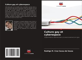 Culture gay et cyberespace