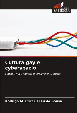 Cultura gay e cyberspazio