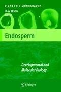 Endosperm