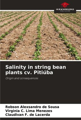 Salinity in string bean plants cv. Pitiúba