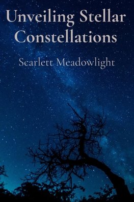 Unveiling Stellar Constellations