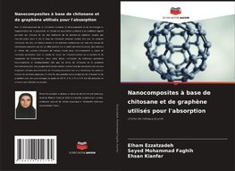 Nanocomposites à base de chitosane et de graphène utilisés pour l'absorption