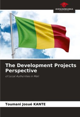 The Development Projects Perspective