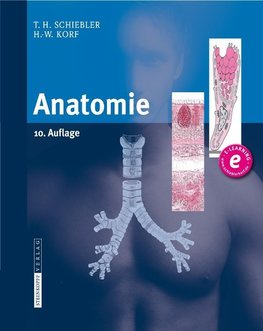 Anatomie