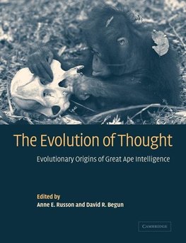 The Evolution of Thought