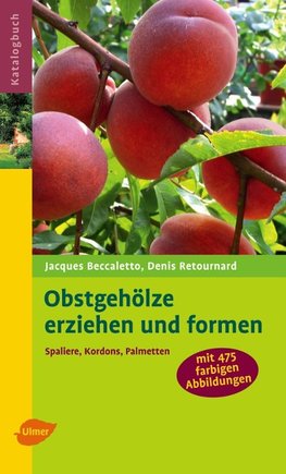 Obstgehölze erziehen und formen