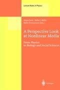 A Perspective Look at Nonlinear Media