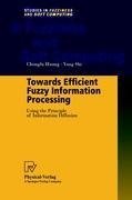 Towards Efficient Fuzzy Information Processing