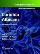 Candida Albicans