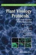 Plant Virology Protocols