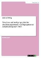 Ursachen und stadtgeographische Erscheinungsformen von Segregation in Johannesburg nach 1994