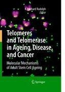 Telomeres and Telomerase in Aging, Disease, and Cancer