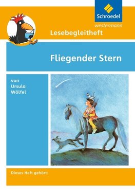 Titel Fliegender Stern. Lesebegleitheft