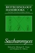 Saccharomyces