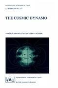 The Cosmic Dynamo