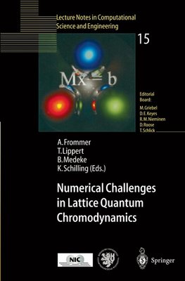 Numerical Challenges in Lattice Quantum Chromodynamics