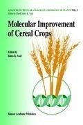 Molecular improvement of cereal crops