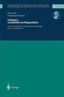 Erdbeden - Instabilität von Megastädten