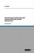 Auswirkungen und Ursachen der Schattenwirtschaft auf den Arbeitsmarkt