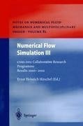 Numerical Flow Simulation III