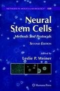 Neural Stem Cells