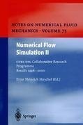 Numerical Flow Simulation II