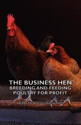 The Business Hen; Breeding and Feeding Poultry for Profit