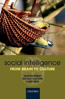 Social Intelligence from Brain to Culture