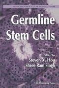 Germline Stem Cells