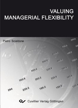 Valuing Managerial Flexibility