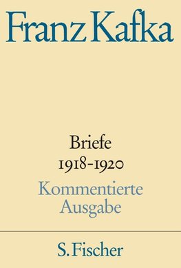 Briefe 4. 1918 - 1920