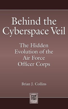 Behind the Cyberspace Veil