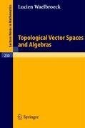 Topological Vector Spaces and Algebras