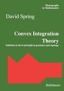 Convex Integration Theory