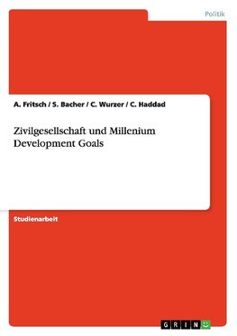 Zivilgesellschaft und Millenium Development Goals