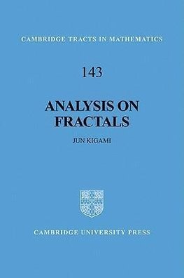 Analysis on Fractals