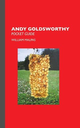 Andy Goldsworthy