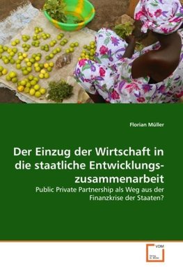 Der Einzug der Wirtschaft in die staatliche Ent­wicklungs­­zusammenarbeit