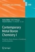 Contemporary Metal Boron Chemistry I