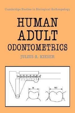 Human Adult Odontometrics