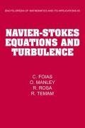 Navier-Stokes Equations and Turbulence