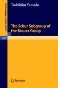 The Schur Subgroup of the Brauer Group