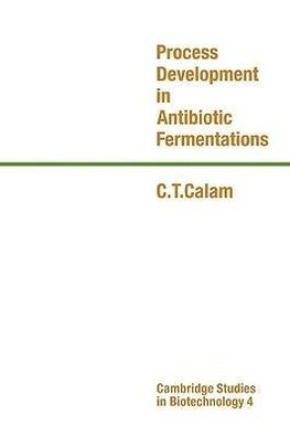 Process Development in Antibiotic Fermentations