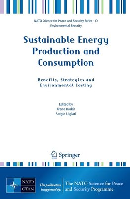 Sustainable Energy Production and Consumption