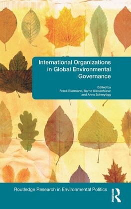 International Organizations in Global Environmental Governance