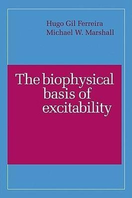 The Biophysical Basis of Excitability