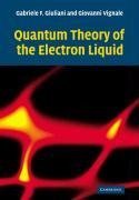 Quantum Theory of the Electron Liquid