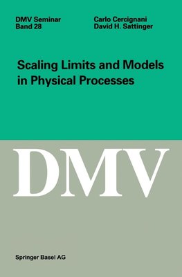 Scaling Limits and Models in Physical Processes